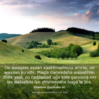Picture 03 - Sharciga Kunoqoshadiisa 1:16 SOM - Oo waagaas ayaan xaakinnadiinna amray, oo waxaan - Bible Verse Picture