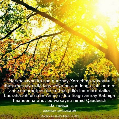 Picture 03 - Sharciga Kunoqoshadiisa 1:19 SOM - Markaasaynu ka soo guurnay Xoreeb oo waxaynu dhex - Bible Verse Picture