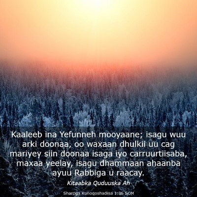 Picture 03 - Sharciga Kunoqoshadiisa 1:36 SOM - Kaaleeb ina Yefunneh mooyaane; isagu wuu arki - Bible Verse Picture