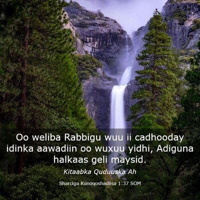 Picture 03 - Sharciga Kunoqoshadiisa 1:37 SOM - Oo weliba Rabbigu wuu ii cadhooday idinka - Bible Verse Picture