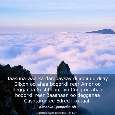 Picture 03 - Sharciga Kunoqoshadiisa 1:4 SOM - Taasuna waa ka dambaysay diliddii uu dilay Siixon - Bible Verse Picture