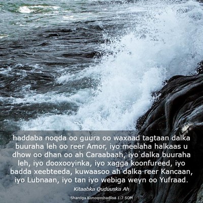 Picture 03 - Sharciga Kunoqoshadiisa 1:7 SOM - haddaba noqda oo guura oo waxaad tagtaan dalka - Bible Verse Picture