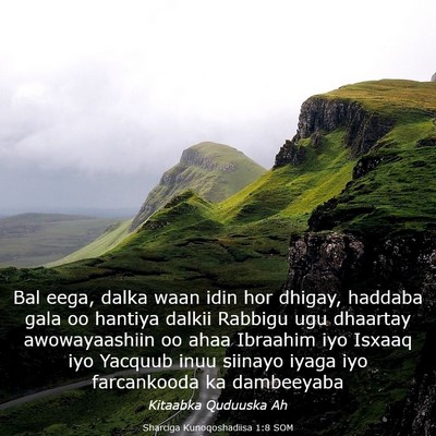 Picture 03 - Sharciga Kunoqoshadiisa 1:8 SOM - Bal eega, dalka waan idin hor dhigay, haddaba - Bible Verse Picture