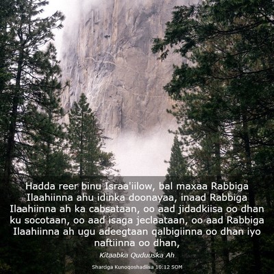 Picture 03 - Sharciga Kunoqoshadiisa 10:12 SOM - Hadda reer binu Israa'iilow, bal maxaa Rabbiga - Bible Verse Picture