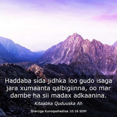 Picture 03 - Sharciga Kunoqoshadiisa 10:16 SOM - Haddaba sida jidhka loo gudo isaga jara xumaanta - Bible Verse Picture