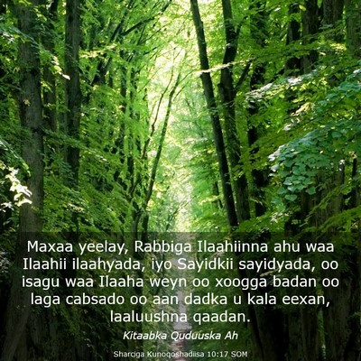 Picture 03 - Sharciga Kunoqoshadiisa 10:17 SOM - Maxaa yeelay, Rabbiga Ilaahiinna ahu waa Ilaahii - Bible Verse Picture