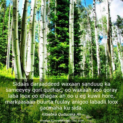 Picture 03 - Sharciga Kunoqoshadiisa 10:3 SOM - Sidaas daraaddeed waxaan sanduuq ka sameeyey qori - Bible Verse Picture
