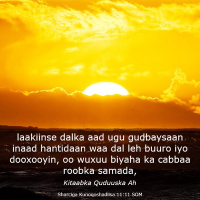 Picture 03 - Sharciga Kunoqoshadiisa 11:11 SOM - laakiinse dalka aad ugu gudbaysaan inaad - Bible Verse Picture