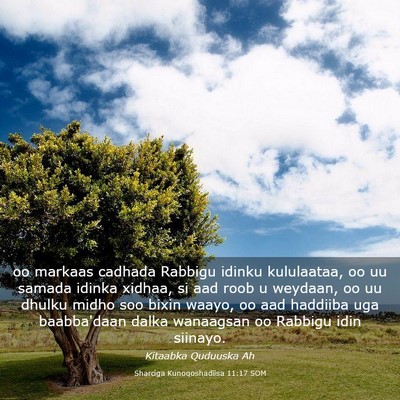 Picture 03 - Sharciga Kunoqoshadiisa 11:17 SOM - oo markaas cadhada Rabbigu idinku kululaataa, oo - Bible Verse Picture