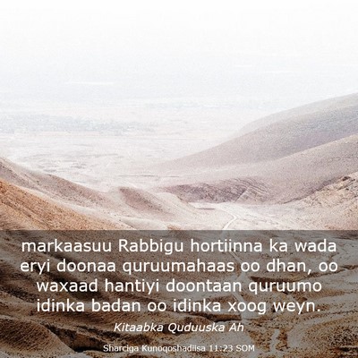 Picture 03 - Sharciga Kunoqoshadiisa 11:23 SOM - markaasuu Rabbigu hortiinna ka wada eryi doonaa - Bible Verse Picture