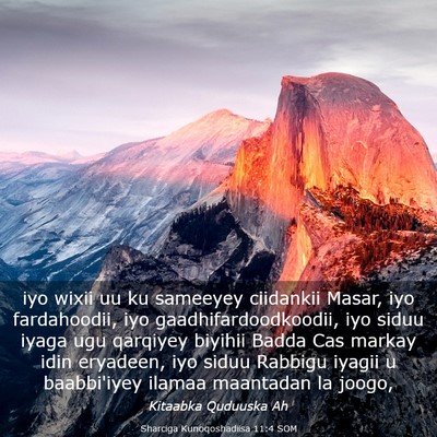 Picture 03 - Sharciga Kunoqoshadiisa 11:4 SOM - iyo wixii uu ku sameeyey ciidankii Masar, iyo - Bible Verse Picture