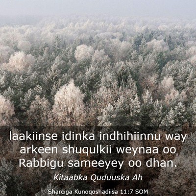 Picture 03 - Sharciga Kunoqoshadiisa 11:7 SOM - laakiinse idinka indhihiinnu way arkeen shuqulkii - Bible Verse Picture