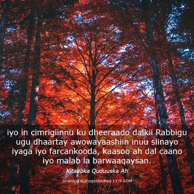 Picture 03 - Sharciga Kunoqoshadiisa 11:9 SOM - iyo in cimrigiinnu ku dheeraado dalkii Rabbigu - Bible Verse Picture