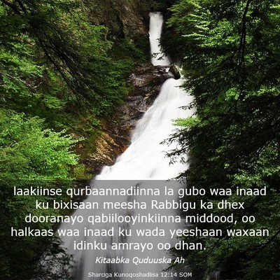 Picture 03 - Sharciga Kunoqoshadiisa 12:14 SOM - laakiinse qurbaannadiinna la gubo waa inaad ku - Bible Verse Picture