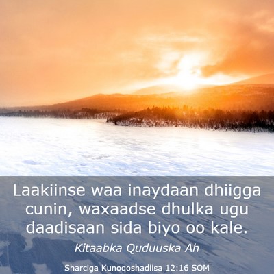 Picture 03 - Sharciga Kunoqoshadiisa 12:16 SOM - Laakiinse waa inaydaan dhiigga cunin, waxaadse - Bible Verse Picture