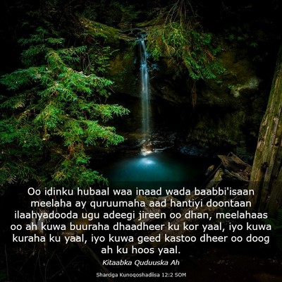 Picture 03 - Sharciga Kunoqoshadiisa 12:2 SOM - Oo idinku hubaal waa inaad wada baabbi'isaan - Bible Verse Picture