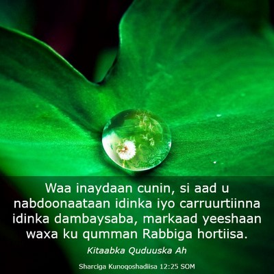 Picture 03 - Sharciga Kunoqoshadiisa 12:25 SOM - Waa inaydaan cunin, si aad u nabdoonaataan idinka - Bible Verse Picture