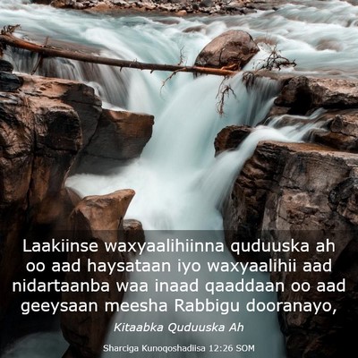 Picture 03 - Sharciga Kunoqoshadiisa 12:26 SOM - Laakiinse waxyaalihiinna quduuska ah oo aad - Bible Verse Picture