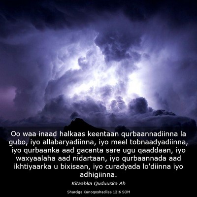 Picture 03 - Sharciga Kunoqoshadiisa 12:6 SOM - Oo waa inaad halkaas keentaan qurbaannadiinna la - Bible Verse Picture
