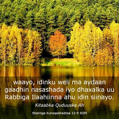 Picture 03 - Sharciga Kunoqoshadiisa 12:9 SOM - waayo, idinku weli ma aydaan gaadhin nasashada - Bible Verse Picture