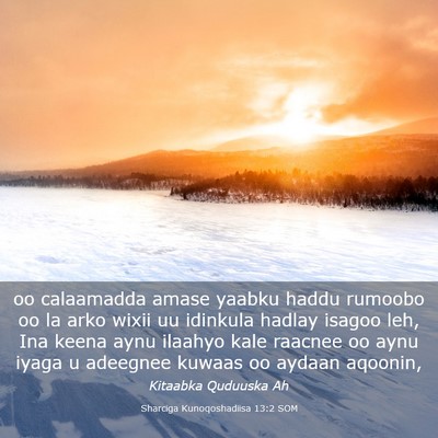 Picture 03 - Sharciga Kunoqoshadiisa 13:2 SOM - oo calaamadda amase yaabku haddu rumoobo oo la - Bible Verse Picture