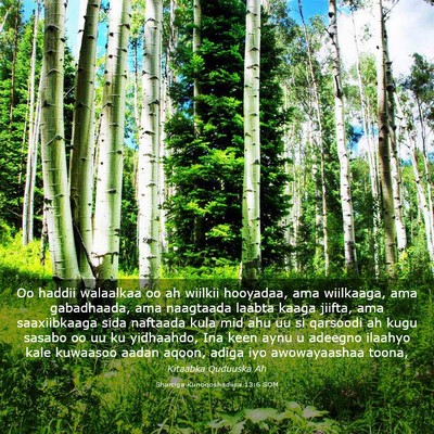 Picture 03 - Sharciga Kunoqoshadiisa 13:6 SOM - Oo haddii walaalkaa oo ah wiilkii hooyadaa, ama - Bible Verse Picture