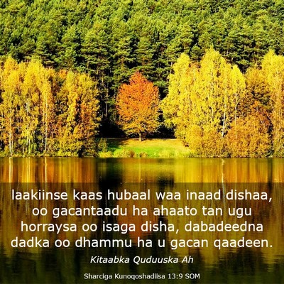 Picture 03 - Sharciga Kunoqoshadiisa 13:9 SOM - laakiinse kaas hubaal waa inaad dishaa, oo - Bible Verse Picture