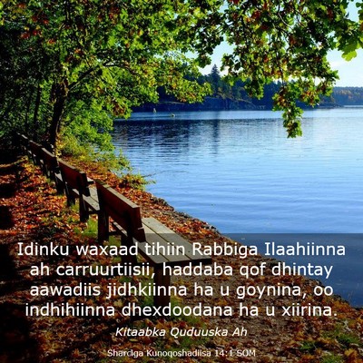 Picture 03 - Sharciga Kunoqoshadiisa 14:1 SOM - Idinku waxaad tihiin Rabbiga Ilaahiinna ah - Bible Verse Picture