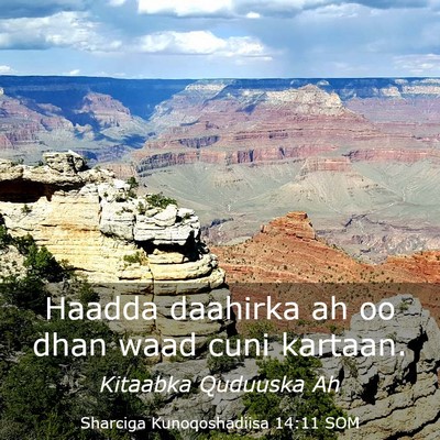 Picture 03 - Sharciga Kunoqoshadiisa 14:11 SOM - Haadda daahirka ah oo dhan waad cuni - Bible Verse Picture