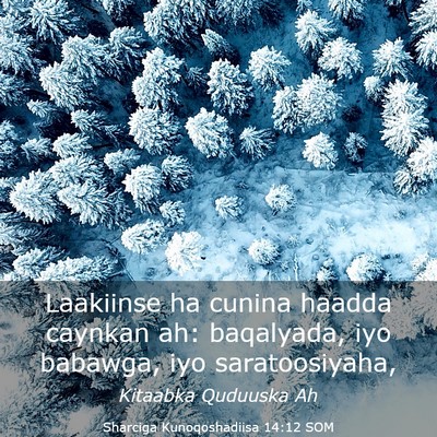 Picture 03 - Sharciga Kunoqoshadiisa 14:12 SOM - Laakiinse ha cunina haadda caynkan ah: baqalyada, - Bible Verse Picture