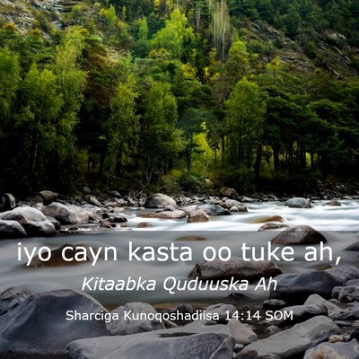 Picture 03 - Sharciga Kunoqoshadiisa 14:14 SOM - iyo cayn kasta oo tuke - Bible Verse Picture