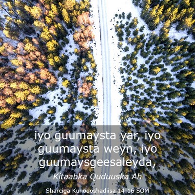 Picture 03 - Sharciga Kunoqoshadiisa 14:16 SOM - iyo guumaysta yar, iyo guumaysta weyn, iyo - Bible Verse Picture