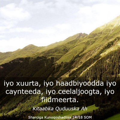 Picture 03 - Sharciga Kunoqoshadiisa 14:18 SOM - iyo xuurta, iyo haadbiyoodda iyo caynteeda, iyo - Bible Verse Picture