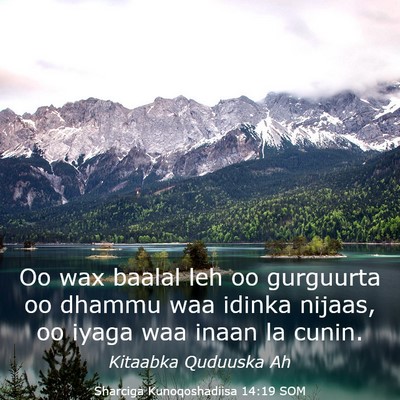 Picture 03 - Sharciga Kunoqoshadiisa 14:19 SOM - Oo wax baalal leh oo gurguurta oo dhammu waa - Bible Verse Picture