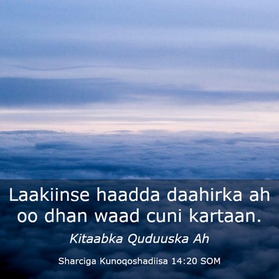 Picture 03 - Sharciga Kunoqoshadiisa 14:20 SOM - Laakiinse haadda daahirka ah oo dhan waad cuni - Bible Verse Picture