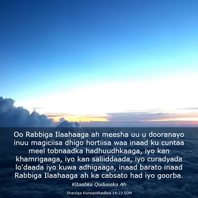 Picture 03 - Sharciga Kunoqoshadiisa 14:23 SOM - Oo Rabbiga Ilaahaaga ah meesha uu u dooranayo - Bible Verse Picture