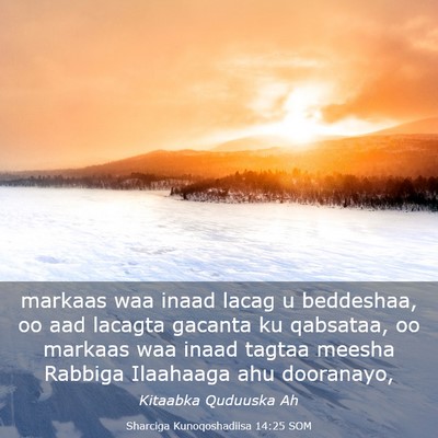 Picture 03 - Sharciga Kunoqoshadiisa 14:25 SOM - markaas waa inaad lacag u beddeshaa, oo aad - Bible Verse Picture