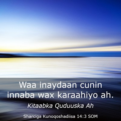 Picture 03 - Sharciga Kunoqoshadiisa 14:3 SOM - Waa inaydaan cunin innaba wax karaahiyo - Bible Verse Picture