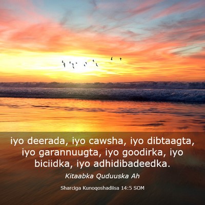Picture 03 - Sharciga Kunoqoshadiisa 14:5 SOM - iyo deerada, iyo cawsha, iyo dibtaagta, iyo - Bible Verse Picture