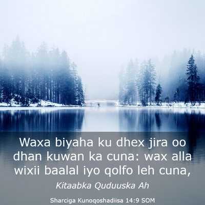 Picture 03 - Sharciga Kunoqoshadiisa 14:9 SOM - Waxa biyaha ku dhex jira oo dhan kuwan ka cuna: - Bible Verse Picture