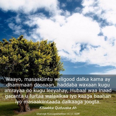 Picture 03 - Sharciga Kunoqoshadiisa 15:11 SOM - Waayo, masaakiintu weligood dalka kama ay - Bible Verse Picture