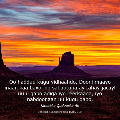 Picture 03 - Sharciga Kunoqoshadiisa 15:16 SOM - Oo hadduu kugu yidhaahdo, Dooni maayo inaan kaa - Bible Verse Picture
