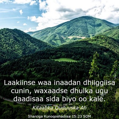 Picture 03 - Sharciga Kunoqoshadiisa 15:23 SOM - Laakiinse waa inaadan dhiiggiisa cunin, waxaadse - Bible Verse Picture