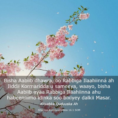 Picture 03 - Sharciga Kunoqoshadiisa 16:1 SOM - Bisha Aabiib dhawra, oo Rabbiga Ilaahiinna ah - Bible Verse Picture