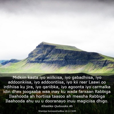 Picture 03 - Sharciga Kunoqoshadiisa 16:11 SOM - Midkiin kasta iyo wiilkiisa, iyo gabadhiisa, iyo - Bible Verse Picture