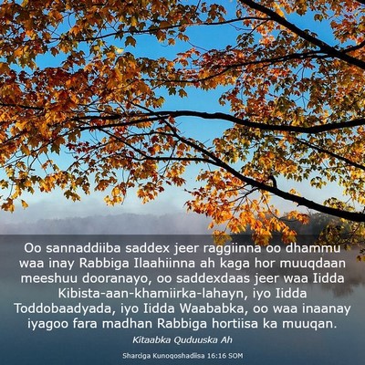 Picture 03 - Sharciga Kunoqoshadiisa 16:16 SOM - Oo sannaddiiba saddex jeer raggiinna oo dhammu - Bible Verse Picture