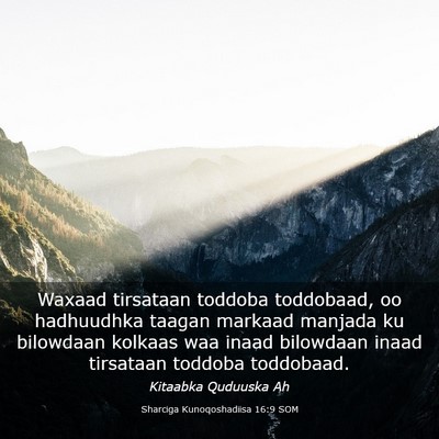 Picture 03 - Sharciga Kunoqoshadiisa 16:9 SOM - Waxaad tirsataan toddoba toddobaad, oo hadhuudhka - Bible Verse Picture