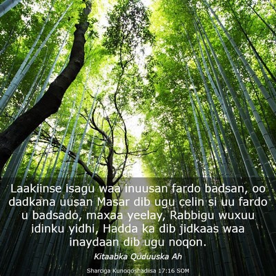 Picture 03 - Sharciga Kunoqoshadiisa 17:16 SOM - Laakiinse isagu waa inuusan fardo badsan, oo - Bible Verse Picture