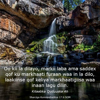 Picture 03 - Sharciga Kunoqoshadiisa 17:6 SOM - Oo kii la dilayo, markii laba ama saddex qof ku - Bible Verse Picture