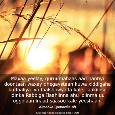 Picture 03 - Sharciga Kunoqoshadiisa 18:14 SOM - Maxaa yeelay, quruumahaas aad hantiyi doontaan - Bible Verse Picture